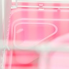 Клетка для грызунов «Пижон», 31×24×27 см, с замком, пластик, металл, розовая - Фото 7