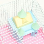 Клетка для грызунов «Пижон», 31×24×27 см, с замком, пластик, металл, розовая - Фото 8