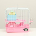 Клетка для грызунов «Пижон», 31×24×27 см, с замком, пластик, металл, розовая - Фото 9