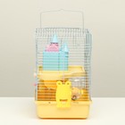 Клетка для грызунов "Пижон", укомплектованная с замком, 27 х 21 х 31 см, жёлтая - Фото 2