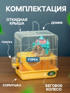 Клетка для грызунов «Пижон», 27×21×31 см, укомплектованная, с замком, жёлтая - Фото 2