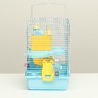 Клетка для грызунов "Пижон", укомплектованная с замком, 27 х 21 х 31 см, голубая - Фото 2