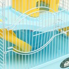 Клетка для грызунов "Пижон", укомплектованная с замком, 27 х 21 х 31 см, голубая - Фото 3