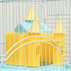 Клетка для грызунов "Пижон", укомплектованная с замком, 27 х 21 х 31 см, голубая - Фото 4