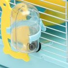 Клетка для грызунов «Пижон», укомплектованная с замком, 27×21×31 см, голубая - Фото 5