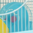 Клетка для грызунов "Пижон", укомплектованная с замком, 27 х 21 х 31 см, голубая - Фото 6