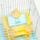 Клетка для грызунов «Пижон», укомплектованная с замком, 27×21×31 см, голубая - Фото 8