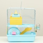 Клетка для грызунов «Пижон», укомплектованная с замком, 27×21×31 см, голубая - Фото 9