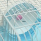 Клетка для грызунов "Пижон", укомплектованная с замком, 37 х 27 х 30 см, голубая - Фото 6