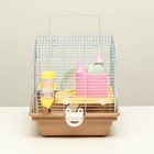 Клетка для грызунов «Пижон», 37×27×30 см, укомплектованная, с замком, пластик, металл, коричневая - Фото 2