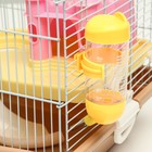 Клетка для грызунов «Пижон», 37×27×30 см, укомплектованная, с замком, пластик, металл, коричневая - Фото 5