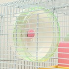 Клетка для грызунов «Пижон», 37×27×30 см, укомплектованная, с замком, пластик, металл, коричневая - Фото 6