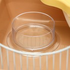 Клетка для грызунов «Пижон», 37×27×30 см, укомплектованная, с замком, пластик, металл, коричневая - Фото 7