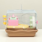 Клетка для грызунов «Пижон», 37×27×30 см, укомплектованная, с замком, пластик, металл, коричневая - Фото 9