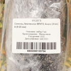 Саженец Земляники ФРИГО Анаис (Anais) A (9-15 мм), 5 шт - фото 25273773