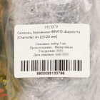 Саженец Земляники ФРИГО Шарлотта (Charlotte) A+ (15-20 мм), 5 шт - фото 25273785