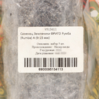 Саженец Земляники ФРИГО Румба (Rumba) А (9-15 мм) , 5 шт - фото 25273817