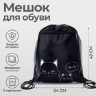 Мешок для обуви «Коты» (с карманом) 42×34 см - Фото 1