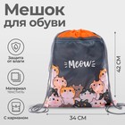 Мешок для обуви «Коты» (с карманом) 42×34 см - Фото 1