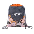 Мешок для обуви «Коты» (с карманом) 42×34 см - Фото 5