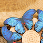 Подставка под горячее "Синяя бабочка", 11х11см, можжевельник - фото 4372522