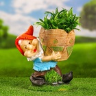 Садовая фигура из гипса «Гном с кашпо», 25×15×24 см, МИКС - Фото 4