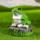 Садовая фигура из гипса «Лягушка на камне», 22×20×22 см - Фото 3