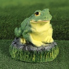 Садовая фигура из гипса «Лягушка на камне», 22×20×22 см - Фото 6