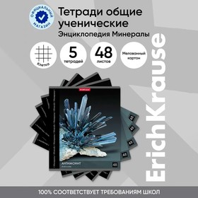 Тетрадь 48л кл ErichKrause "Энциклопедия: Минералы", микс 9509001