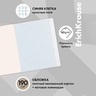 Тетрадь 48 листов в клетку, ErichKrause "Балет", обложка мелованный картон, матовая ламинация, блок офсет 100% белизна, МИКС (1 вид в спайке) (комплект 5 шт) - фото 22034869