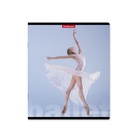 Тетрадь 48 листов в клетку, ErichKrause "Балет", обложка мелованный картон, матовая ламинация, блок офсет 100% белизна, МИКС (1 вид в спайке) (комплект 5 шт) - фото 22034874