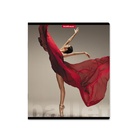 Тетрадь 48 листов в клетку, ErichKrause "Балет", обложка мелованный картон, матовая ламинация, блок офсет 100% белизна, МИКС (1 вид в спайке) (комплект 5 шт) - фото 28099869