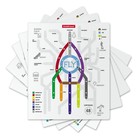 Тетрадь 48л кл ErichKrause Hobbies Scheme, микс - фото 44775093