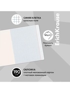 Тетрадь 96 листов в клетку ErichKrause Cats, обложка мелованный картон, матовая ламинация, выборочный УФ-лак, блок офсет 100% белизна, МИКС (1 вид в спай�... - Фото 6