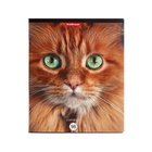 Тетрадь 96 листов в клетку ErichKrause Cats, обложка мелованный картон, матовая ламинация, выборочный УФ-лак, блок офсет 100% белизна, МИКС (1 вид в спай�... - Фото 13