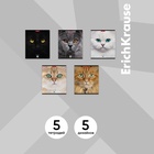 Тетрадь 96 листов в клетку ErichKrause Cats, обложка мелованный картон, матовая ламинация, выборочный УФ-лак, блок офсет 100% белизна, МИКС (1 вид в спай�... - Фото 2