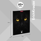 Тетрадь 96 листов в клетку ErichKrause Cats, обложка мелованный картон, матовая ламинация, выборочный УФ-лак, блок офсет 100% белизна, МИКС (1 вид в спай�... - Фото 4