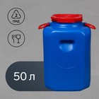 Фляга - бочка пищевая, 50 л, горловина 19.5 см, пластиковая, синяя - Фото 1