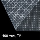 Плёнка армированная, полиэтиленовая с леской, 10 × 2 м, толщина 400 мкм, с УФ-стабилизатором, Greengo - фото 319284868