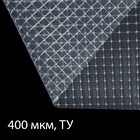 Плёнка армированная, полиэтиленовая с леской, 10×2 м, толщина 400 мкм, с УФ-стабилизатором, Greengo 9393091 - фото 15757326