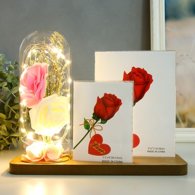 Фоторамка для 2 фото 9×13 см, 13×18 см с подсветкой «Розы в колбе», USB, 9×25×20.5 см