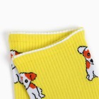 Носки женские "Джек-рассел-терьер", цвет жёлтый, размер 36-40 - фото 24360872