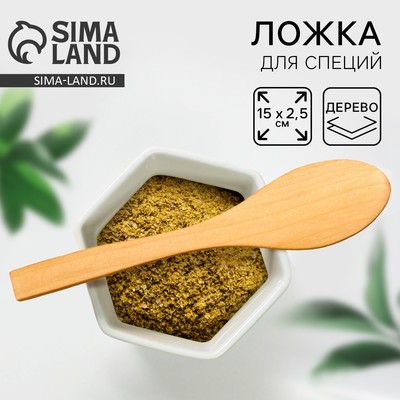Ложка для специй Дорого внимание «Птичка», дерево, 13 см