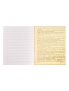 Предметная тетрадь по литературе Calligrata «Мрамор светлый», 48 листов, в линейку, со справочным материалом, обложка из мелованного картона - Фото 7