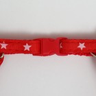 Шлейка "Звезды",  27-42 х 1 см, красная - фото 6818413