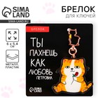 Брелок для ключей акриловый «Котик», 6 х 5,4 см - Фото 1