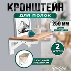 Кронштейн складной для столов и полок ТУНДРА, 2 шт., длина 250 мм, сталь, белый - Фото 1