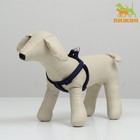 Шлейка рельефная 36-49×1.5 см, сине-чёрная - Фото 1