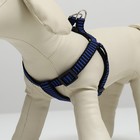 Шлейка рельефная 36-49×1.5 см, сине-чёрная - Фото 2