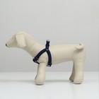 Шлейка рельефная 36-49×1.5 см, сине-чёрная - Фото 3